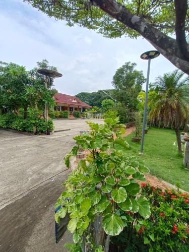 MG Guesthouse - 주변 환경