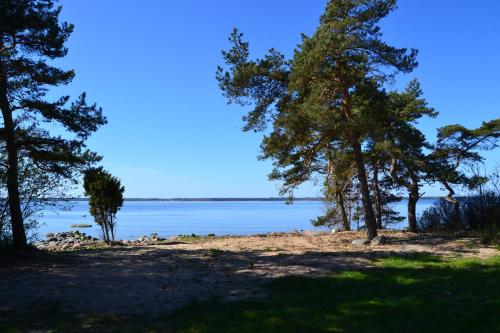 Taimela Holiday Home with Sauna