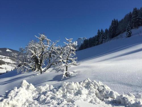 Apartment in Mittersill near Ski Slopes, Миттерзилль (фото 8)