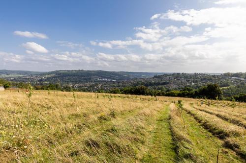 The Natterjack, Bath - Glamping, Бат (фото 9)
