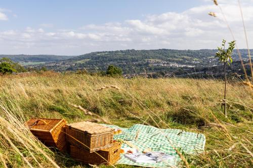 The Natterjack, Bath - Glamping, Бат (фото 4)