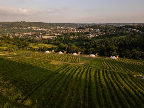 The Natterjack, Bath - Glamping in Charlcombe