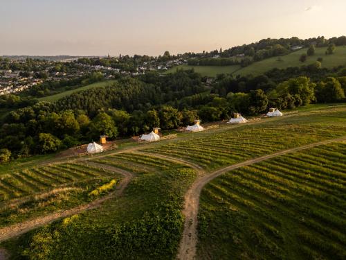The Natterjack, Bath - Glamping in Charlcombe