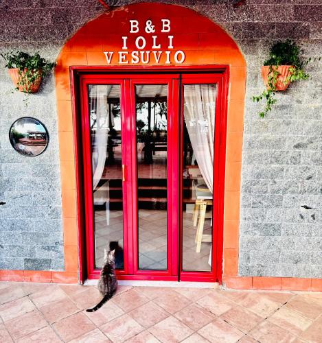 B&B Iolì Vesuvio 4