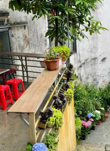 Bonsai homestay