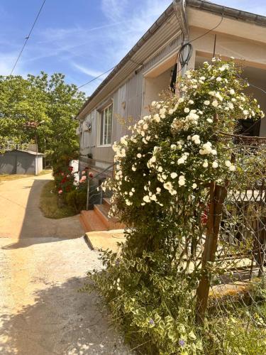 Guest House Maia in Tsikhisdziri