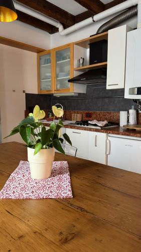 One-Bedroom Apartment image 6