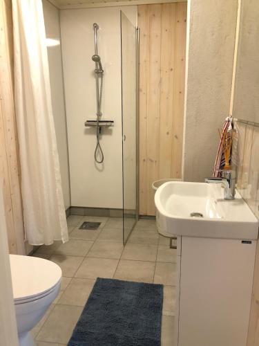 Cozy holiday apartment in the heart of Vrådal! (Cozy holiday apartment in the heart of Vradal!) in Vradal