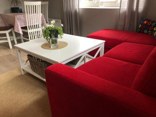 Cozy holiday apartment in the heart of Vrådal! (Cozy holiday apartment in the heart of Vradal!) in Vradal