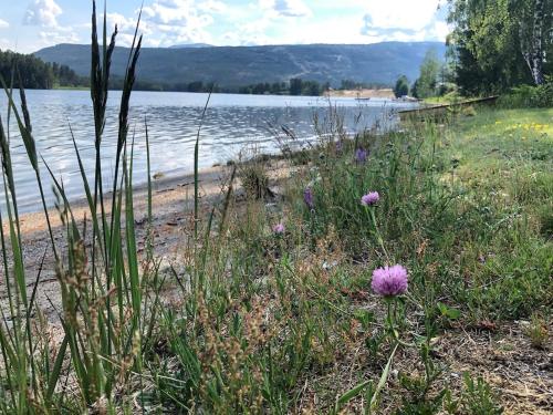 Cozy holiday apartment in the heart of Vrådal! (Cozy holiday apartment in the heart of Vradal!) in Vradal