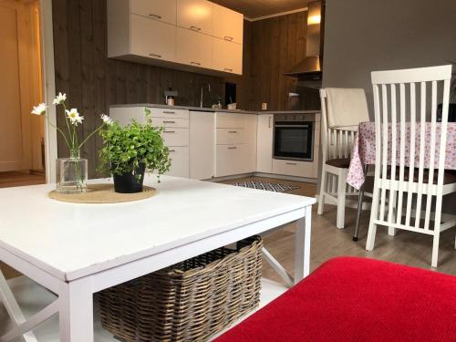 Cozy holiday apartment in the heart of Vrådal! (Cozy holiday apartment in the heart of Vradal!) in Vradal