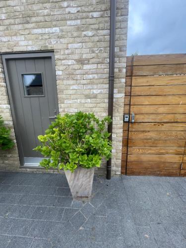 Lewis House studio with parking in Girton