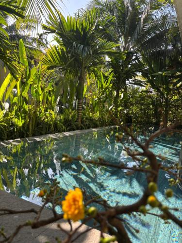 Casa Villa Hoi An - View sông lãng mạn, hồ bơi riêng, Hoi An (zdjęcie 3)