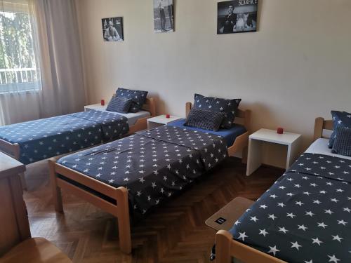 Dunav 009 in Veliko Gradiste