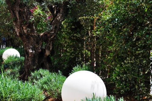 Apartaments B-Llobet Sun & Confort - image 6