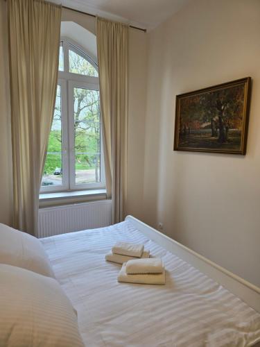 Art Apartment
