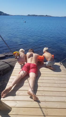 Sjarmerende liten gjestehytte in Gressvik