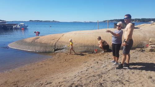 Sjarmerende liten gjestehytte in Gressvik