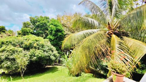 Kert, Tierra Verde, la nature à 15 min de Fort-de-France (Tierra Verde, la nature a 15 min de Fort-de-France) in Saint-Joseph