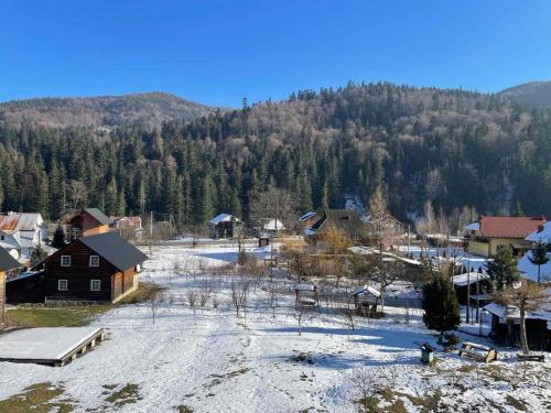 Приватна садиба Ромен, Mykulychyn (foto 3)