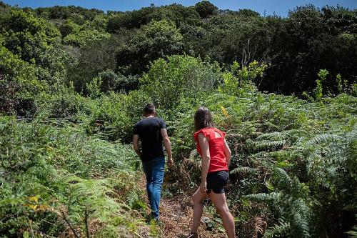 Montevistas Retreat- Cycling, Hiking, Relaxation, Valencia 25 minutes, Valencia (foto 6)