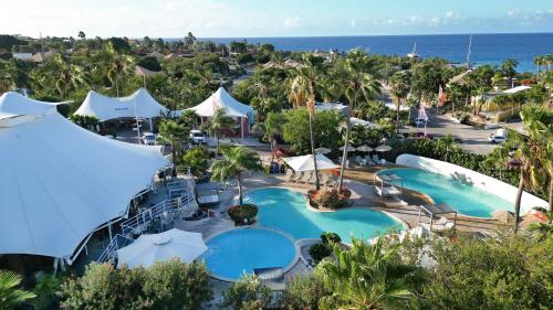 泳池, Chogogo Dive & Beach Resort Curaçao (Chogogo Dive & Beach Resort Curacao) in 詹席爾