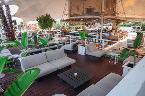 餐廳, Chogogo Dive & Beach Resort Curaçao (Chogogo Dive & Beach Resort Curacao) in 詹席爾