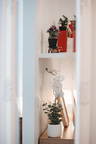 Athens Point Hotel Monastiraki 5