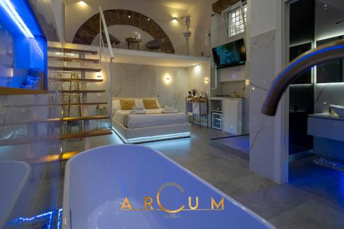 ARCUM suites 4