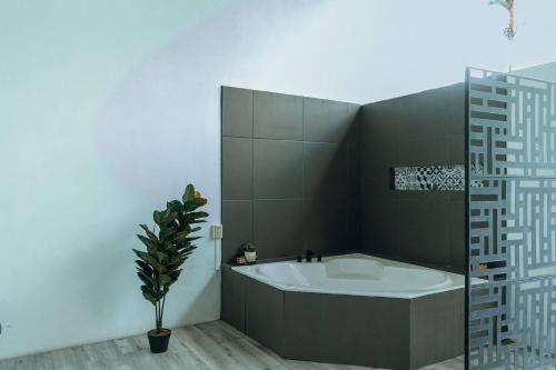 Arenal View Villas, Fortuna (photo 3)