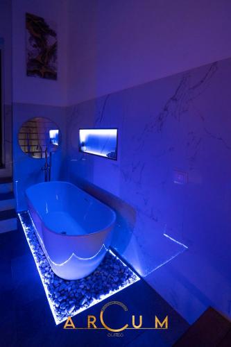ARCUM suites 4