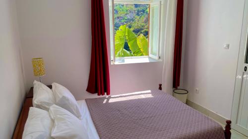 CASA MINGA & TATOL in ริเบย์รา กรันเด