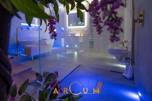 ARCUM suites 3