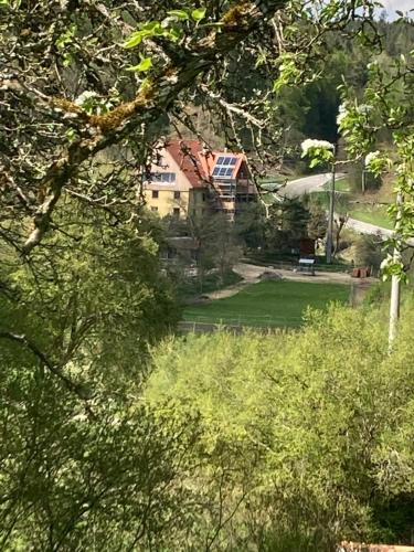 Natur Idylle mit Tieren in der Dachsmühle zwischen Bodensee und Schwarzwald