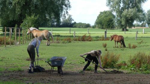 Hof Thomsen - image 12