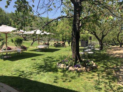 Dārzs, Ca di Voi in Calizzano
