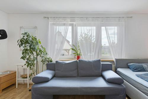 ทัศนียภาพภายนอกโรงแรม, Ferienwohnung Pepe in โดเนาเอส์ชินเกน