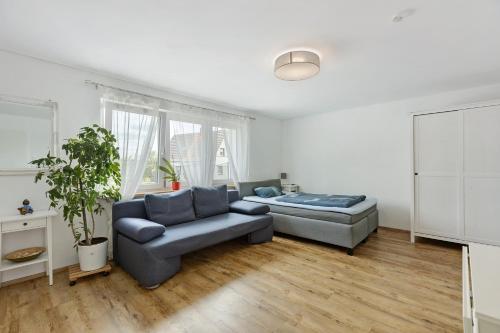 ทัศนียภาพภายนอกโรงแรม, Ferienwohnung Pepe in โดเนาเอส์ชินเกน