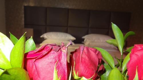 Augustana House and Suites - image 3