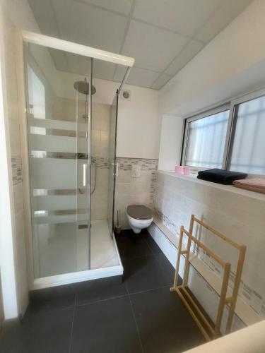 دش, Chez Ambre et Lulu - Studio centre ville avec piscine in ميلوء