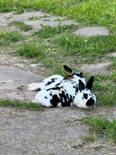 Unstruttal in Wangen, Deutschland