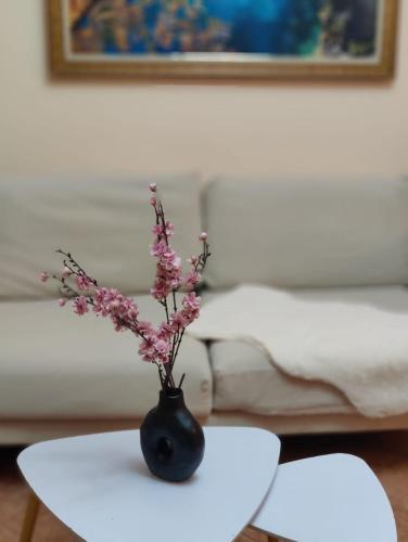 Apartment in Center, Valona (foto 2)