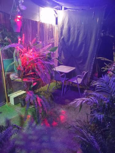 דבש, Beer Sheva (foto 8)