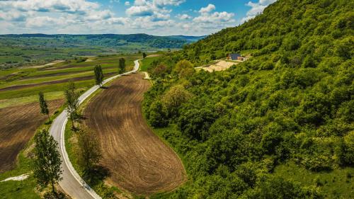 Viesnīcas āriene, Wild Wood Transilvania in Apold