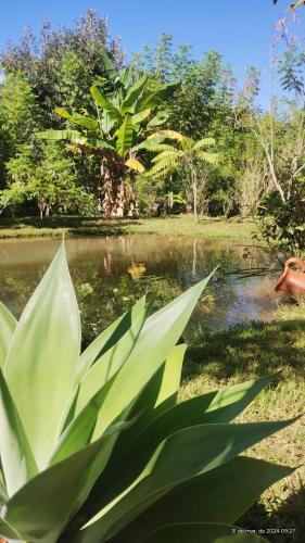 Camping e pousada dos sonhos in Carvalhos