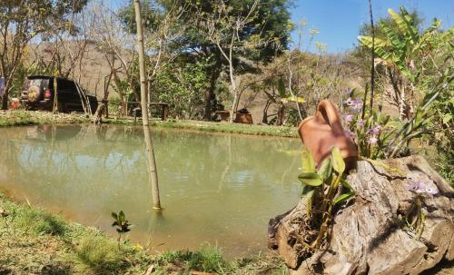 Camping e pousada dos sonhos in Carvalhos