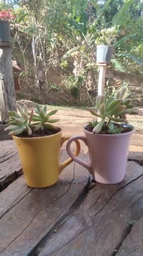 Camping e pousada dos sonhos in Carvalhos