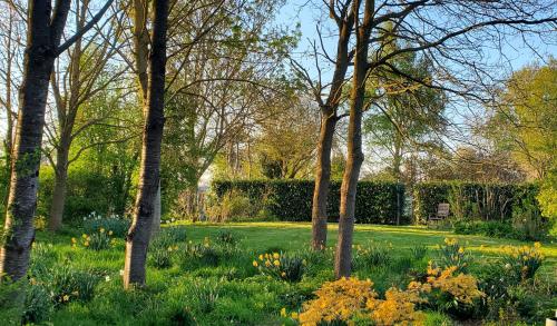 Dārzs, Le Jardin des Papillons, gîte et chambre d'hôtes à Saint Fraimbault (Le Jardin des Papillons, gite et chambre d'hotes a Saint Fraimbault) in Vauce