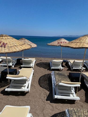 pludmale, Ekin Assos in Sokakagzi