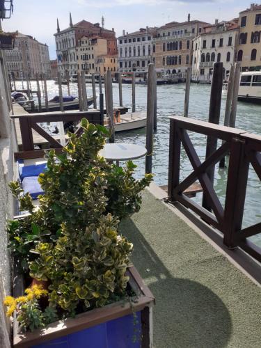 Honeymoon suite on Grand Canal, Benátky (fotografie 10)